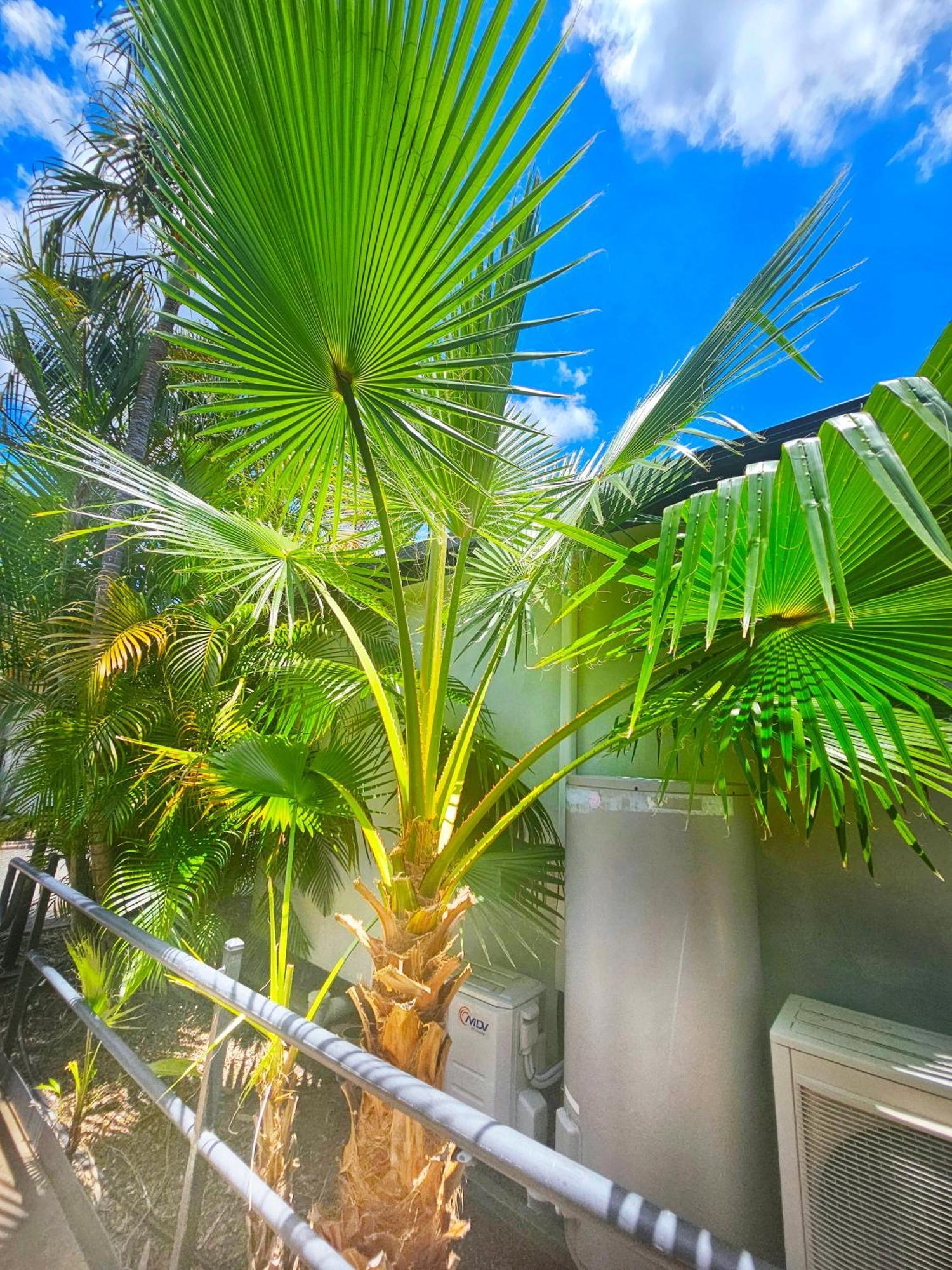 Emerald Motel Apartments 4*